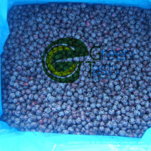 Nueva cosecha IQF Frozen Wild Blueberry